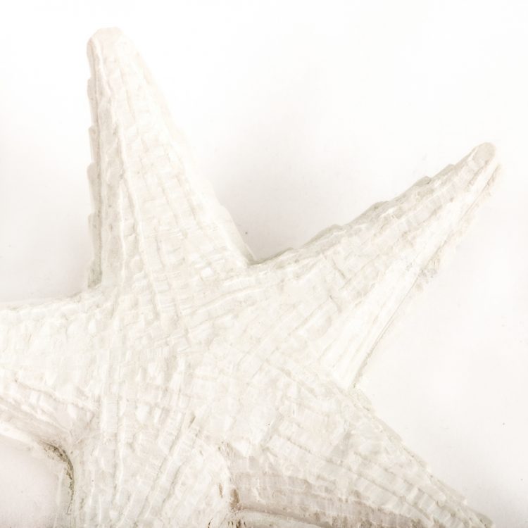 Starfish paperweight | Gallery 2