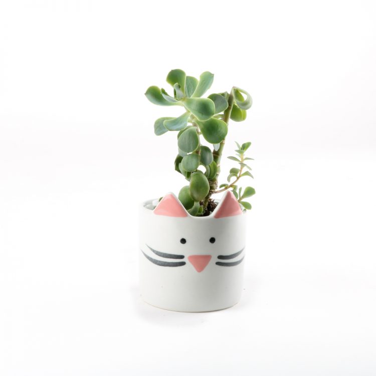 Mini cat planter white | Gallery 1 | TradeAid