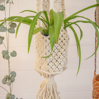 Cotton basket style sika | Gallery 1