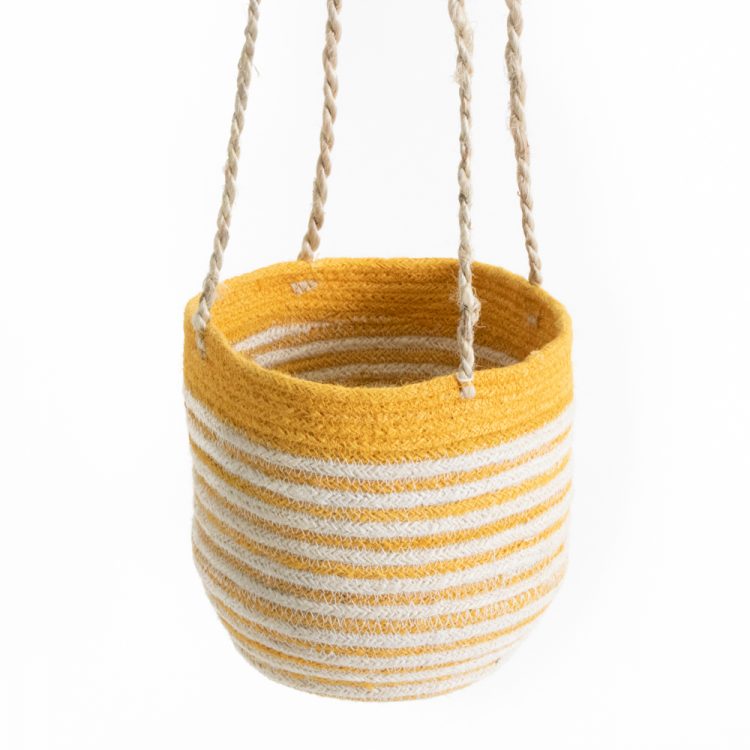 Yellow sika hanging basket