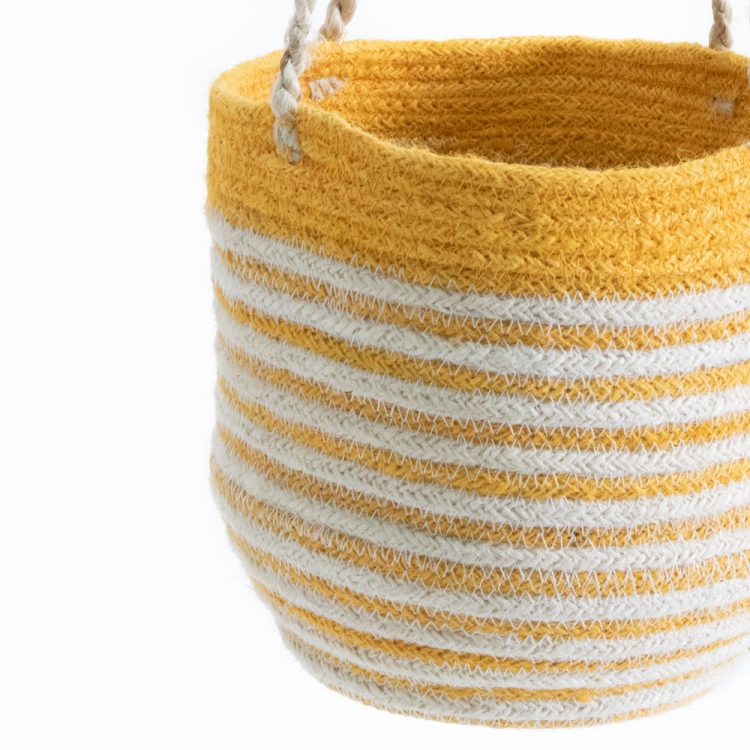 Yellow sika hanging basket | Gallery 2