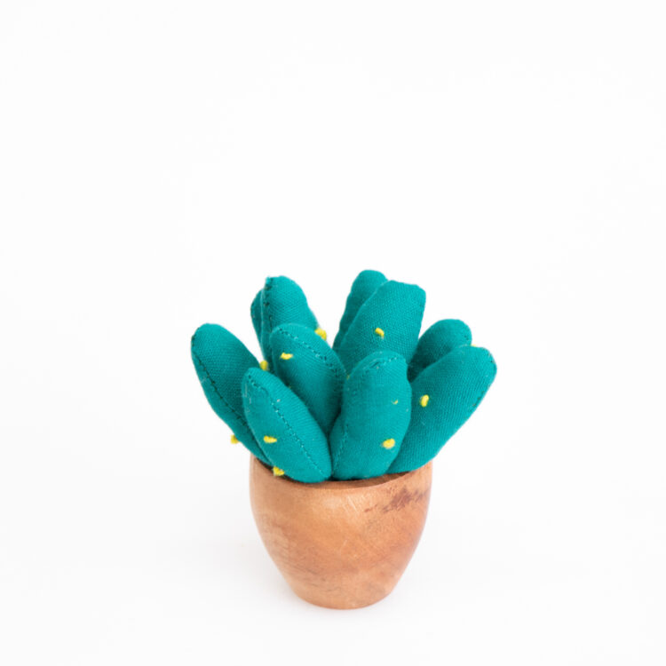 Prickly cactus planter | TradeAid