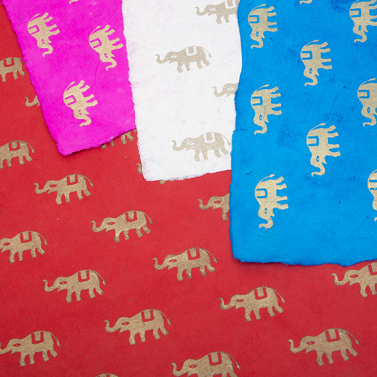 Elephant giftwrap