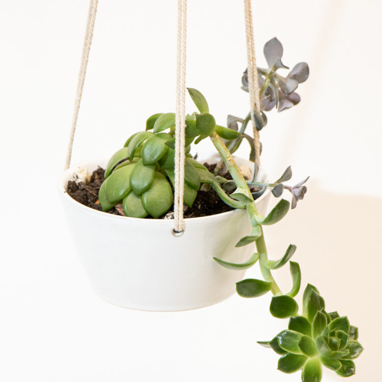 White hanging planter | Gallery 2 | TradeAid
