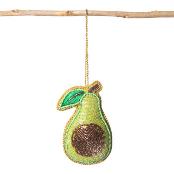 Avocado tree hanging